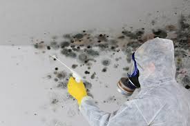 Best Asbestos and Lead Testing During Mold Inspection in Parachute, CO